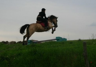 Cours et stages d equitation dans le 91